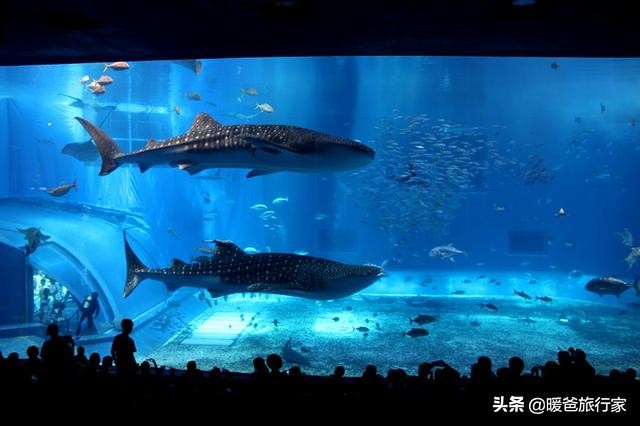 暑假带孩子去国外玩,寒假带孩子出国去哪里玩合适一些