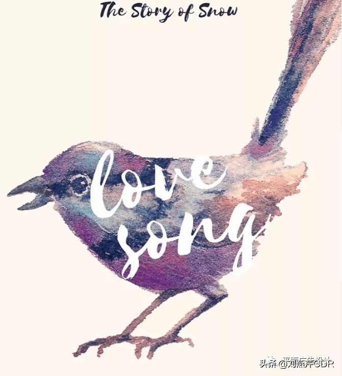 宣传海报设计过程简介怎么写,宣传海报的设计过程