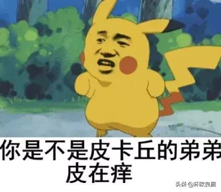 荷兰生活费上涨了多少,荷兰生活费