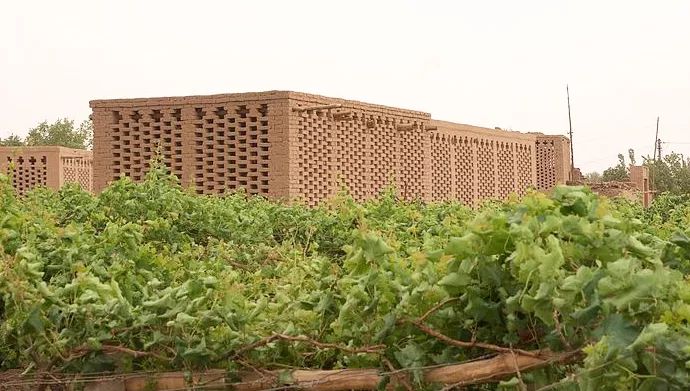 在*疆新**,谁才是“果界一哥”?