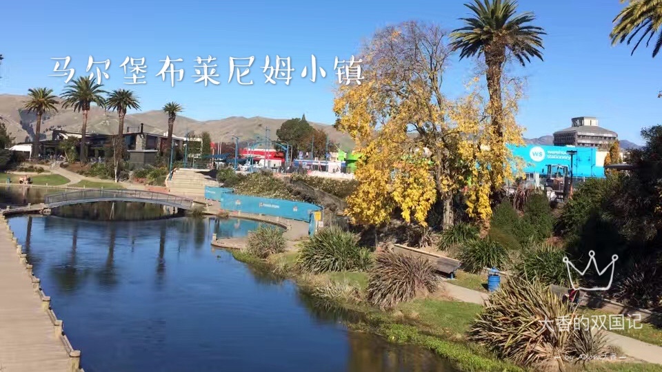 新西兰人怎么看中国人,新西兰人怎么看待毛利人