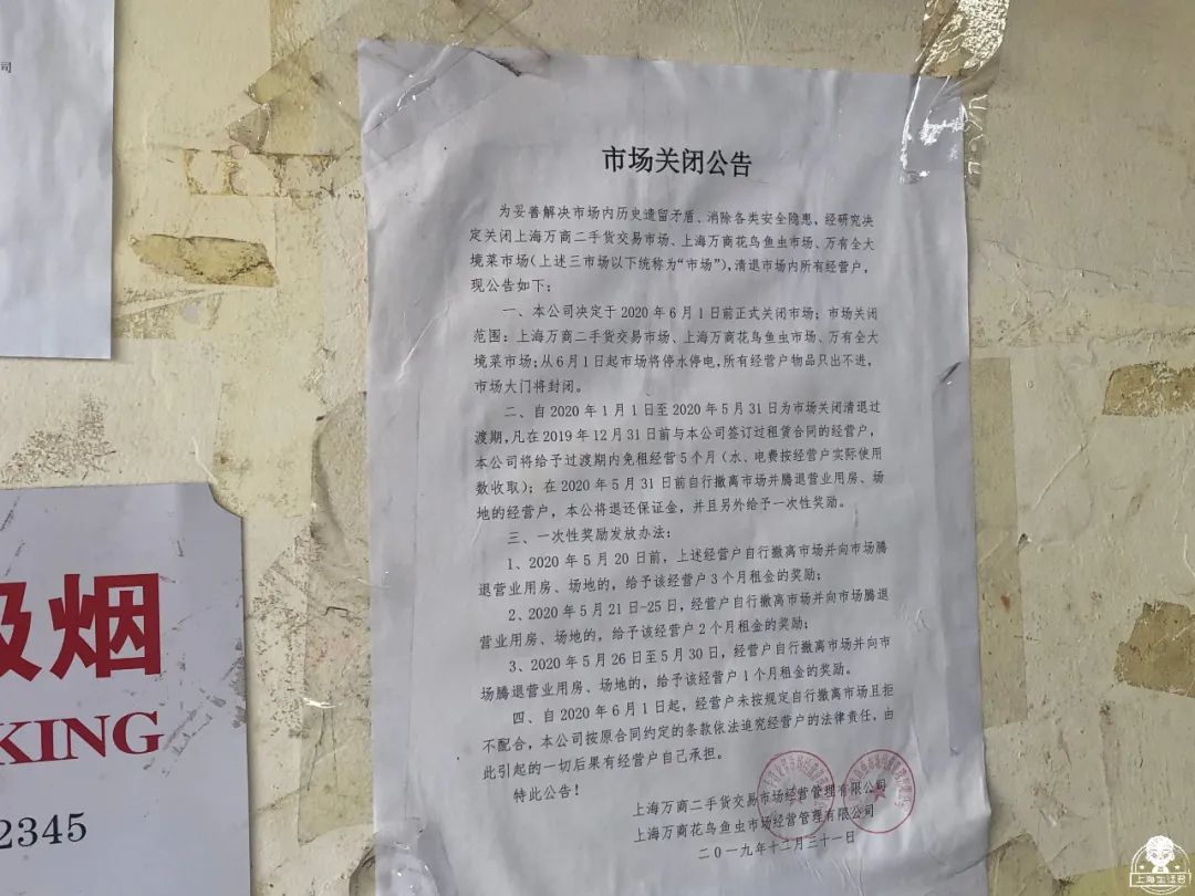 涓婃捣榛勬郸鍖轰竾鍟嗚姳楦熷競鍦鸿繕鍦ㄥ悧,涓婃捣涓囧晢鑺遍笩甯傚満鏂板潃鍦ㄤ粈涔堣矾