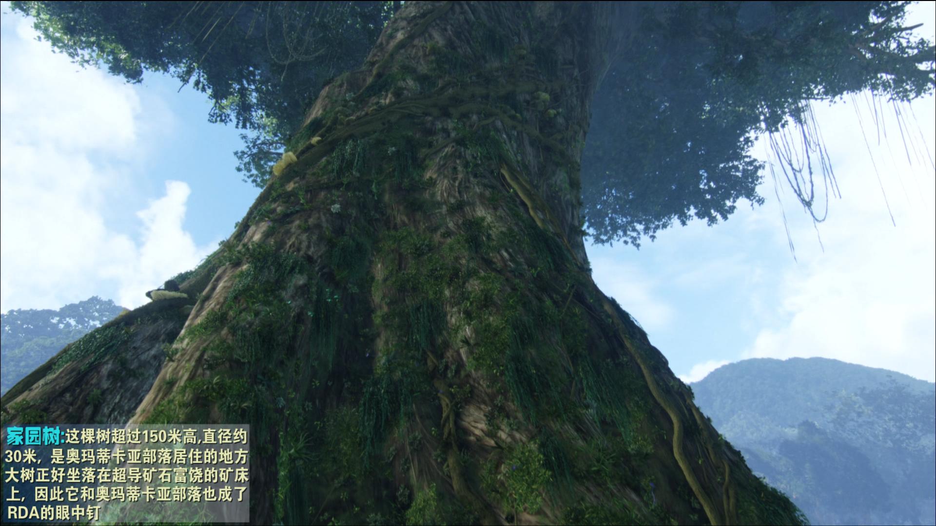 从未被超越完整版,从未被超越