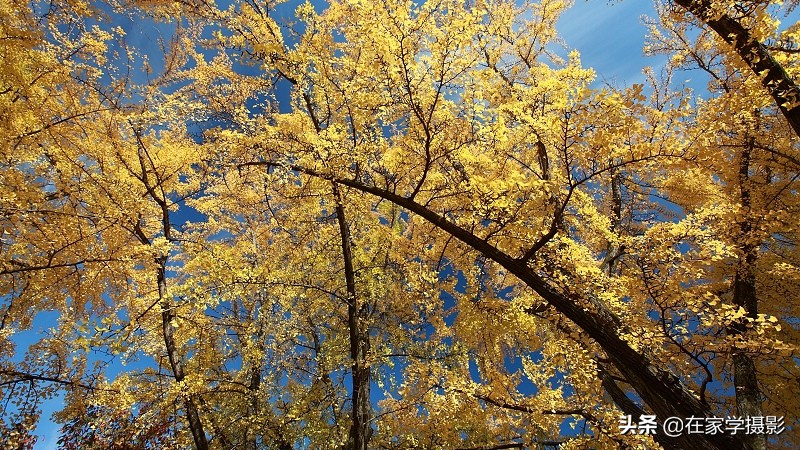 卡色uv镜和偏振镜哪个好,uv镜cpl偏光镜