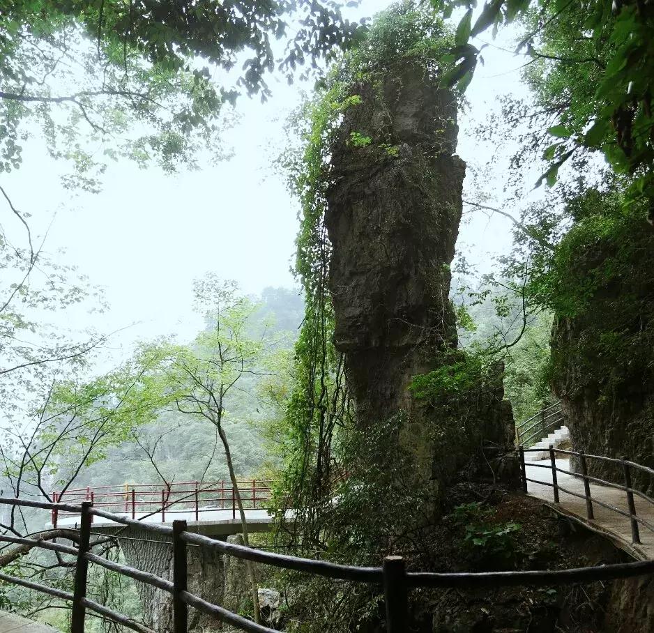 方山历史简介,方山多少年历史