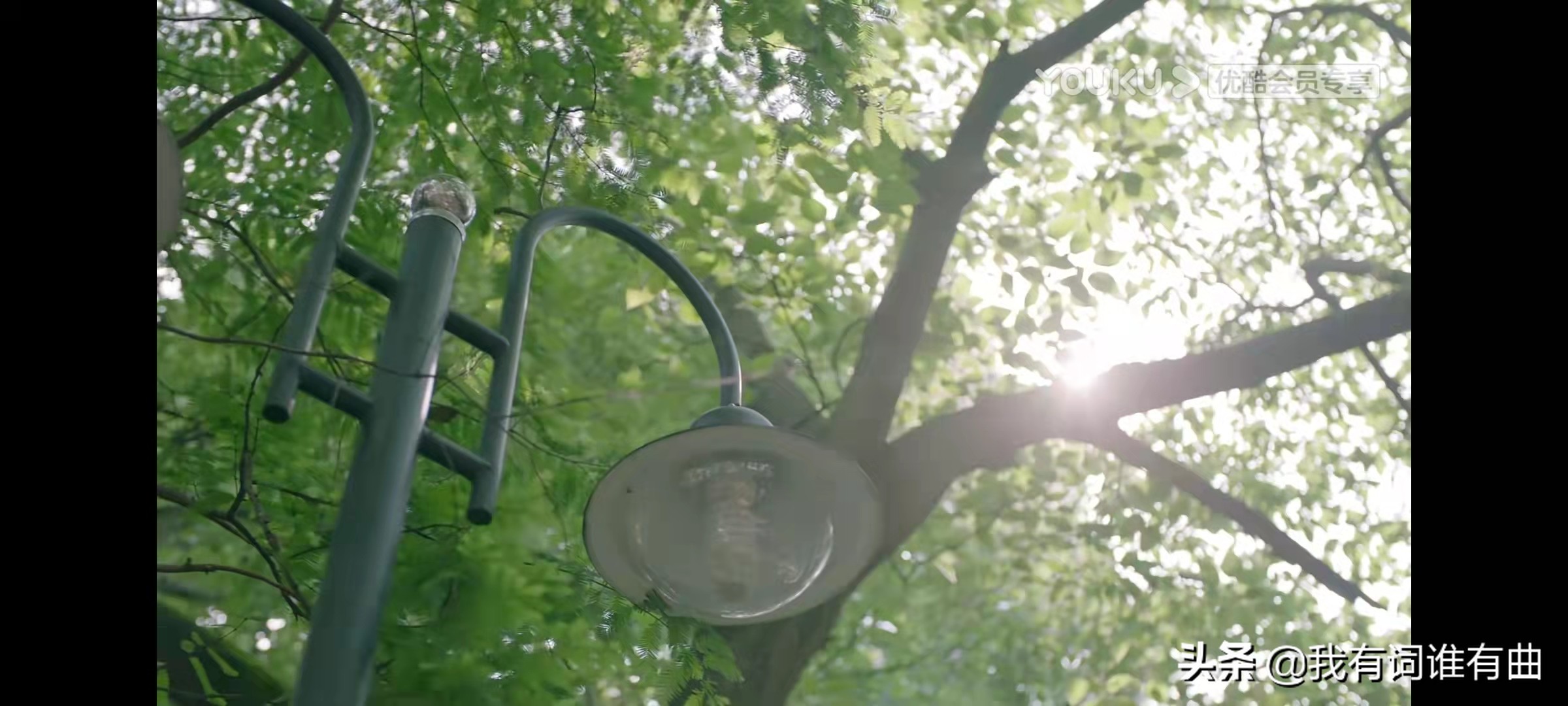 怎么样才能谈一次甜甜的校园恋爱,校园恋爱简单的方式