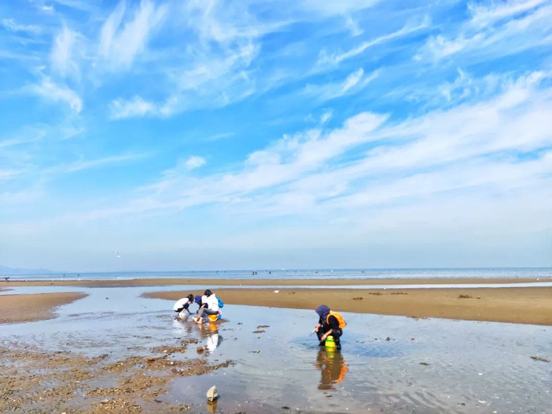 2022春节大连本命年免费景点,大连免费景点排行榜前十名