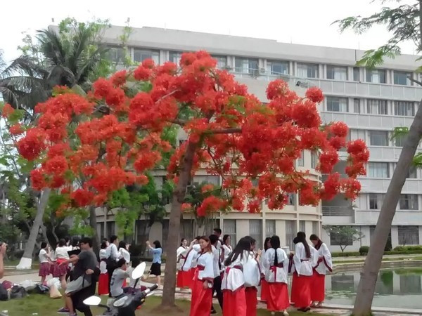 一个人在海边玩一天,一个人在海边怎么玩