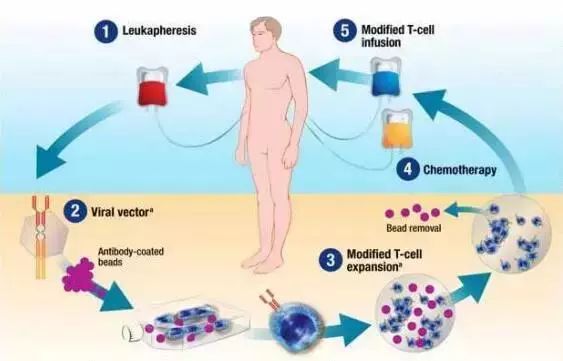 日本正式攻克白血病！出国就医成为新趋势