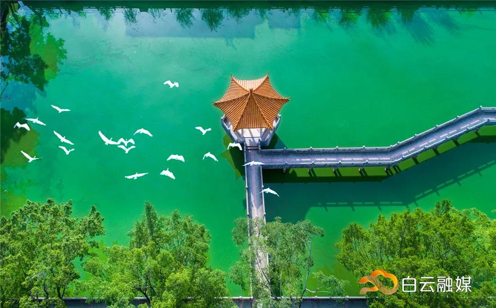 白云看起来很低说明什么,白云看清了自己