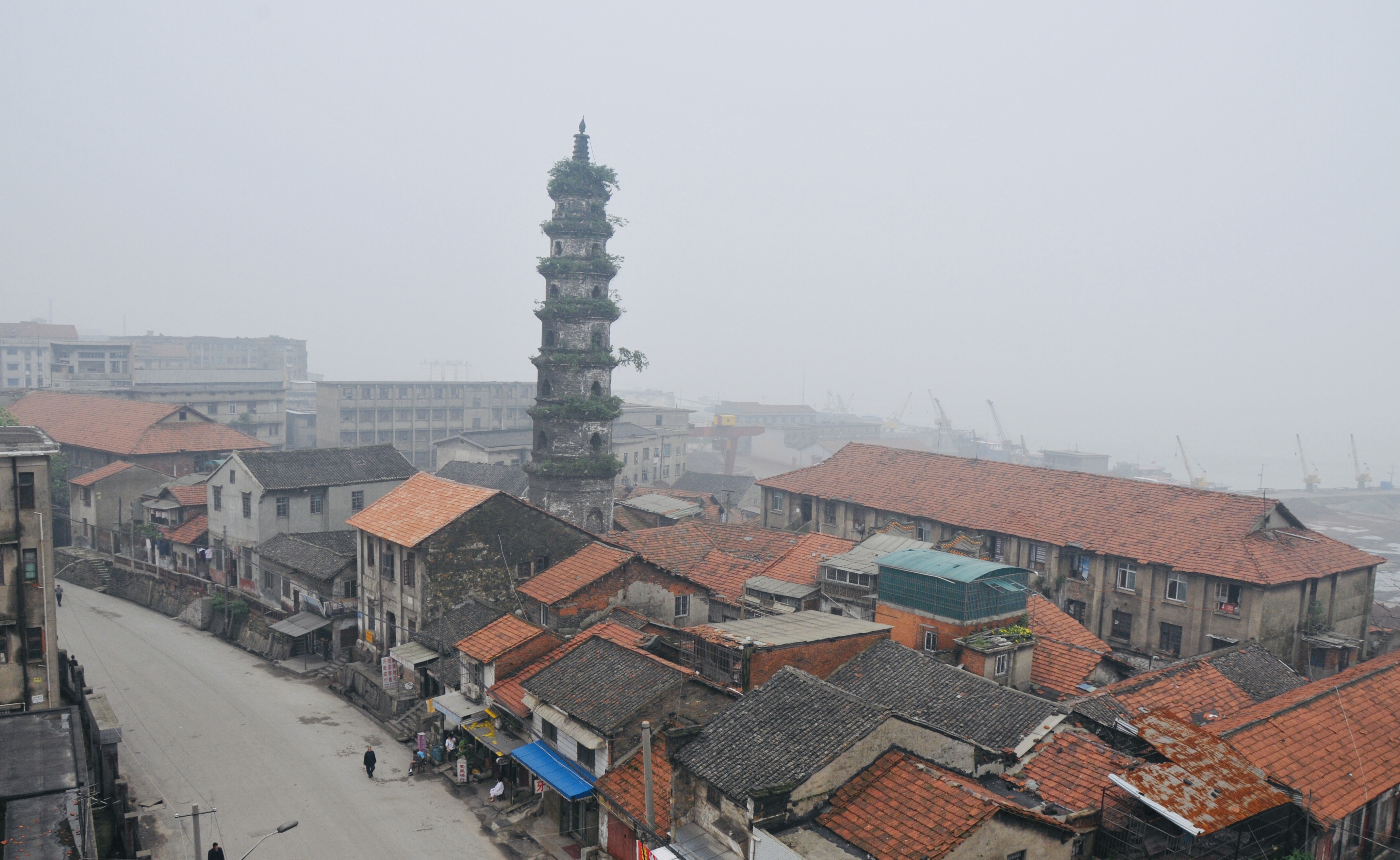 鏂囨梾妗f,宀抽槼鏂囨梾妗f2019