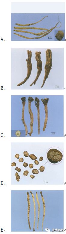 执业药师2021年中药一真题,执业药师中药一考题解析