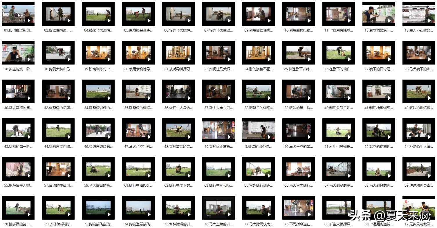 训狗教程视频训犬神器,训犬一点通训狗教程视频