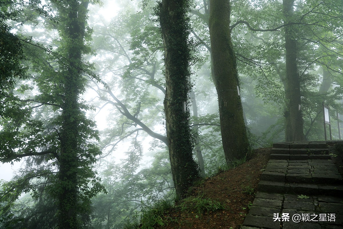 五角山航拍,五角地带