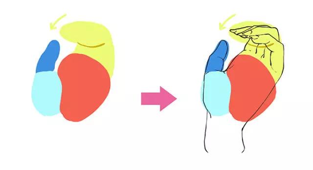 画动漫人物女生的手部教程,动漫人物的手怎么画简单又漂亮