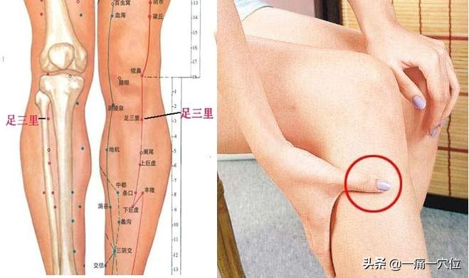 胃病的“对应穴”，尤其第3穴，每天揉一揉胃痛胃酸悄悄消失！