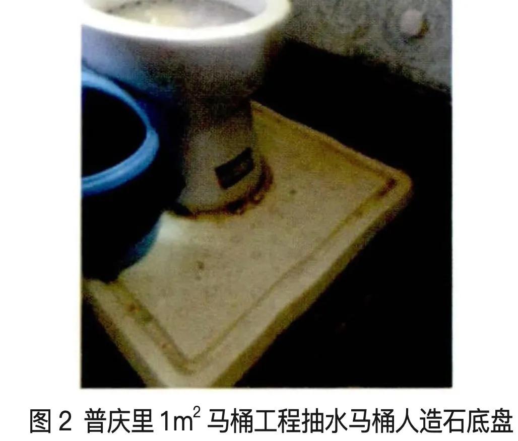 上海人谈马桶,上海马桶事件后续