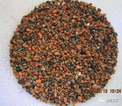 石斛兰用苔藓包着水培不烂根吗,香水石斛兰烂根重栽怎么浇水