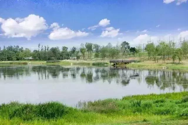 元旦去哪里玩视频,元旦适合去哪玩