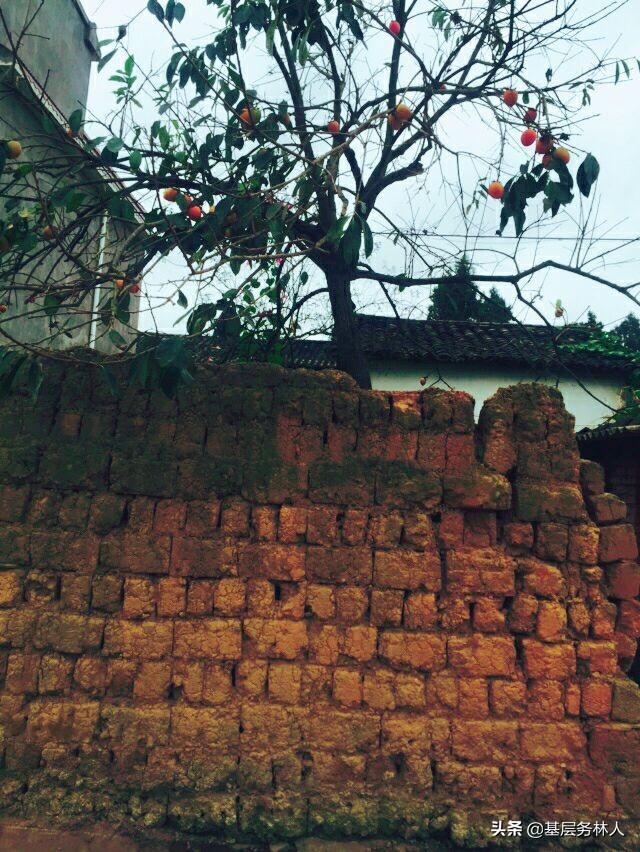 云南澄江兵工厂,云南兵工厂旧址