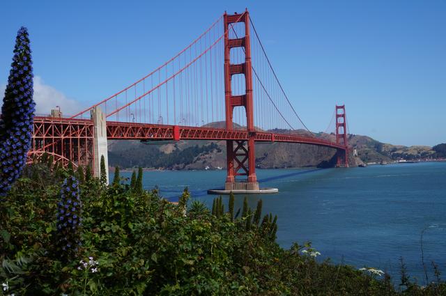 北京美国签证预约中介,美国签证办理最新保姆式教程