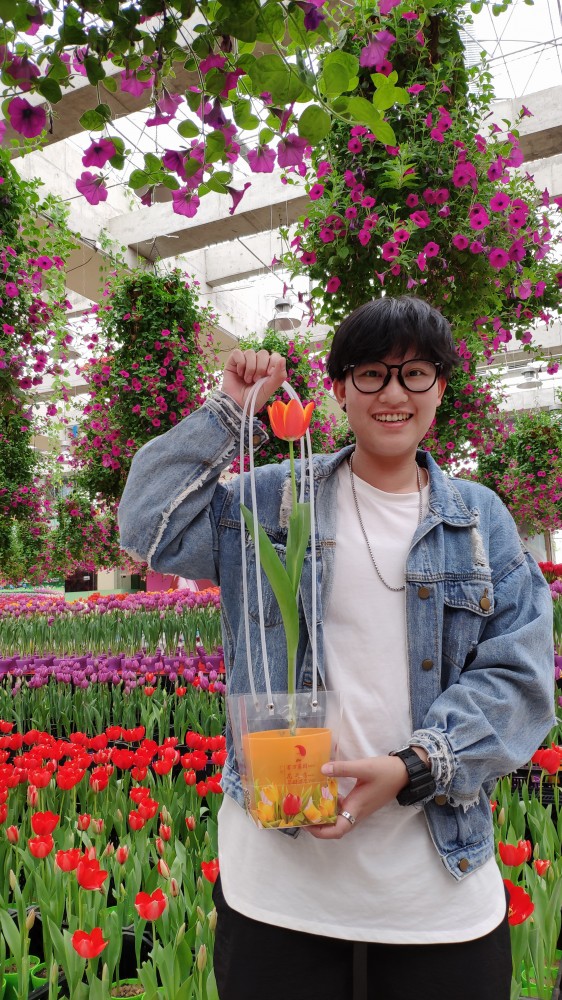 森林花海亲子游攻略,森林公园亲子游推荐