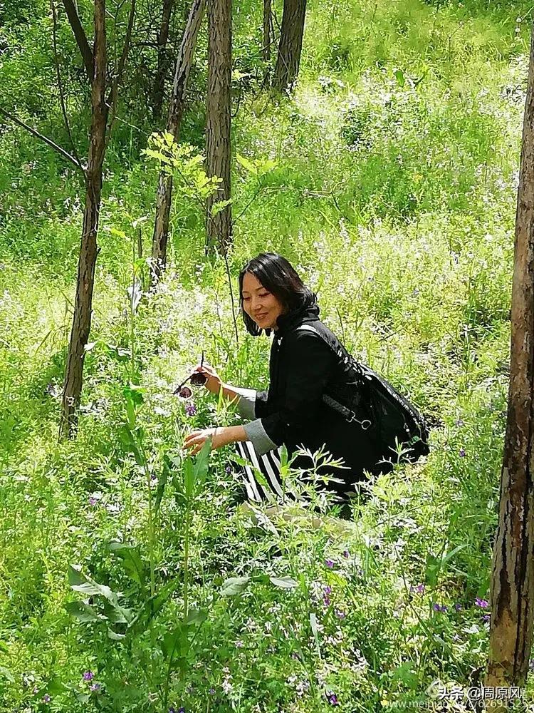 赴一场春日的邀约,五月赴一场与槐花的约会