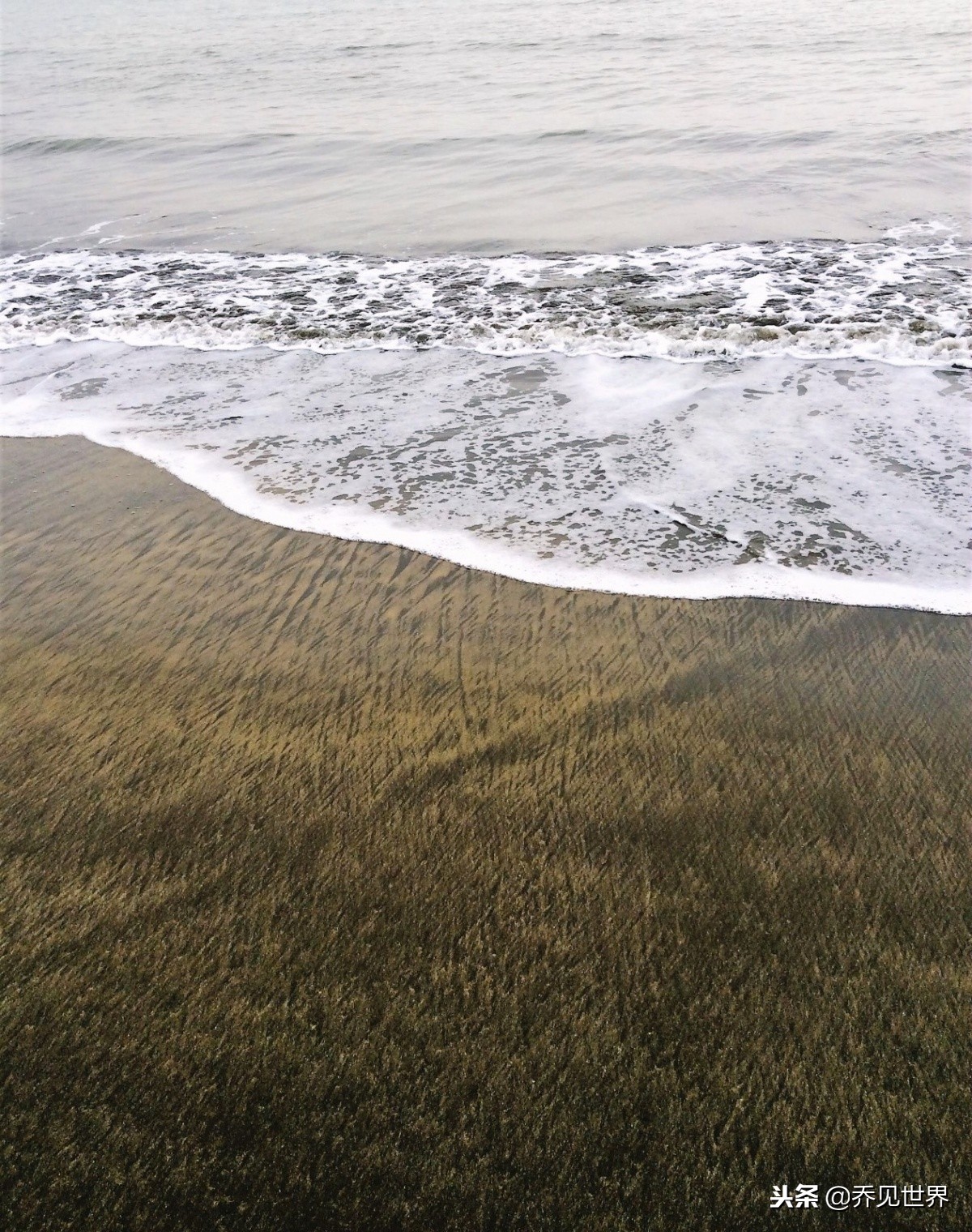 澳门值得打卡的景点,澳门打卡必去景点晚上
