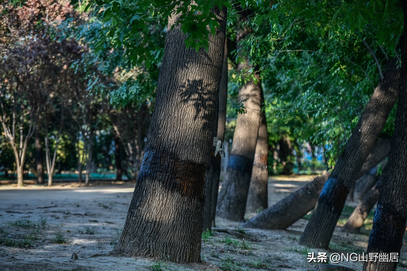 天津街拍最火的视频,天津街拍哪家好