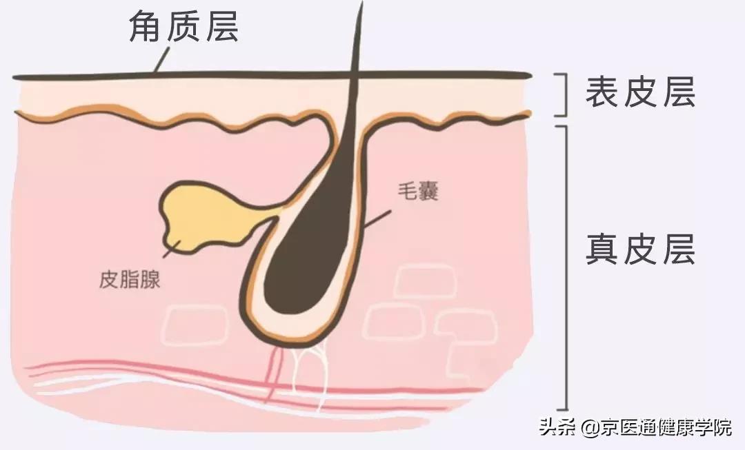 毛孔粗大的原因及改善方法,毛孔粗大的原因和治疗方法