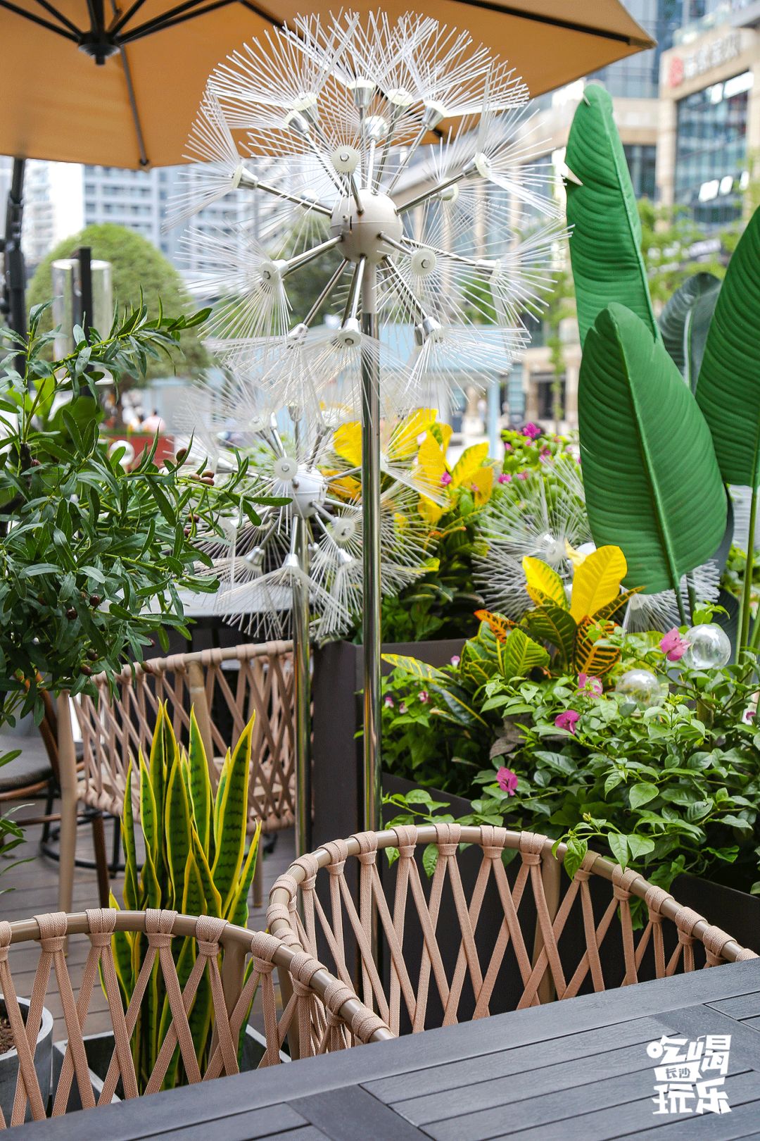 长沙城南绝美音乐餐厅！7.8折吃遍全国精致料理