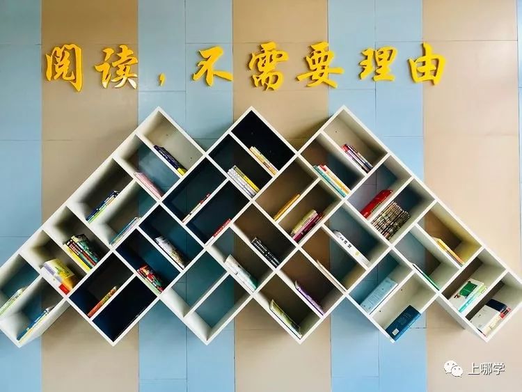 上海最好的十大民办初中,上海各区的顶级初中和一流初中