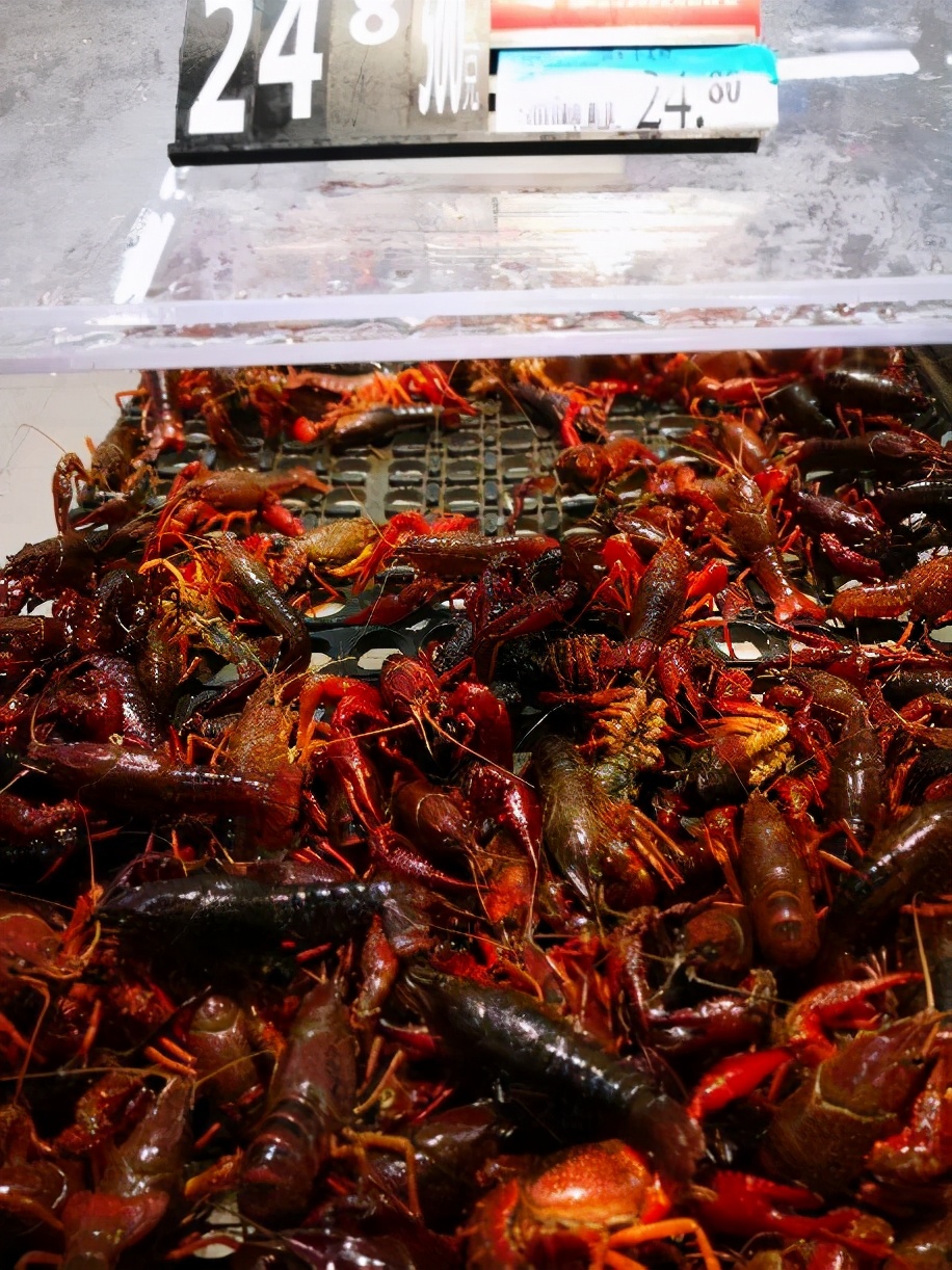 近期小龙虾价格涨了吗,预计今冬明春小龙虾价格会暴涨吗?