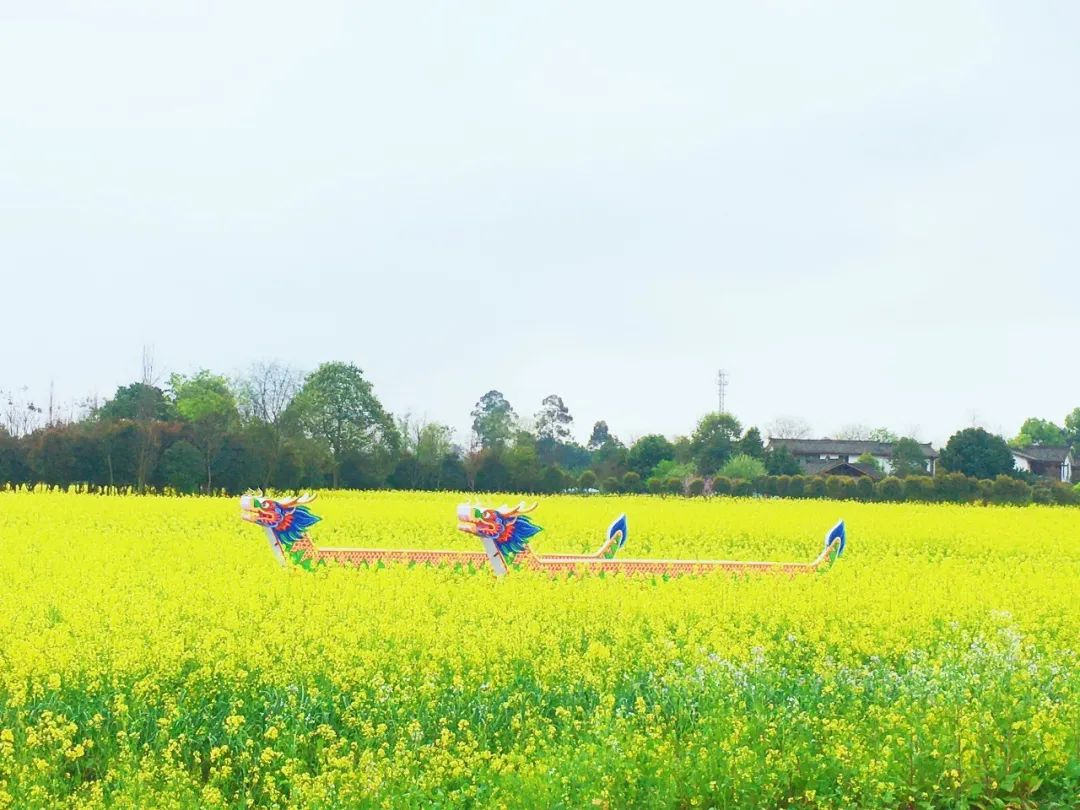 青杠树村最美乡村,带你走近最美乡村青杠树村