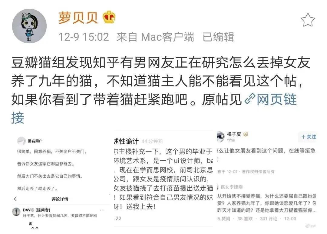 丢掉女朋友养了2年的猫,女朋友要求丢掉养了3年的猫