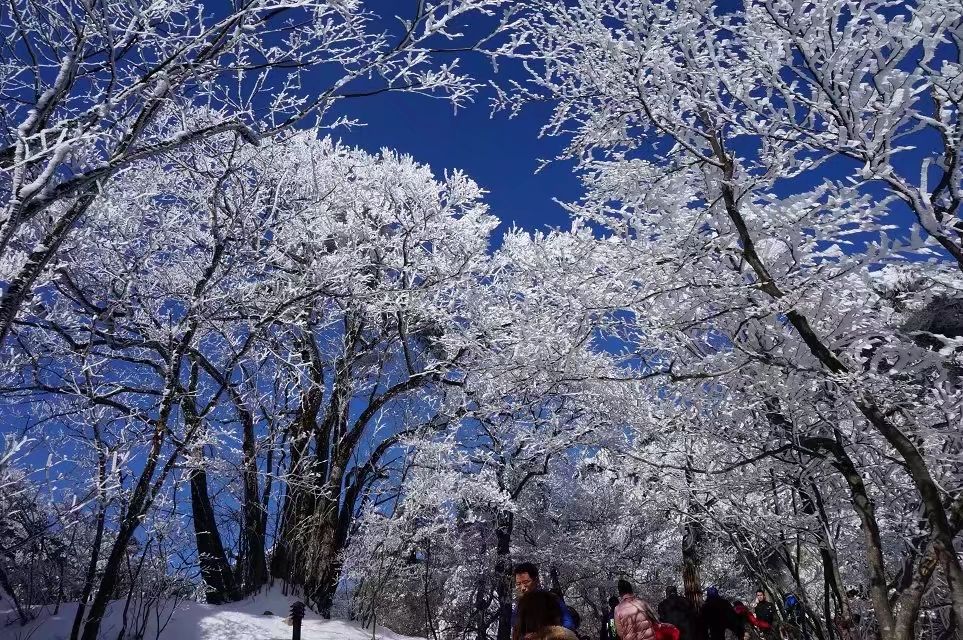 2014黄山旅游新版攻略图,游黄山的旅行图