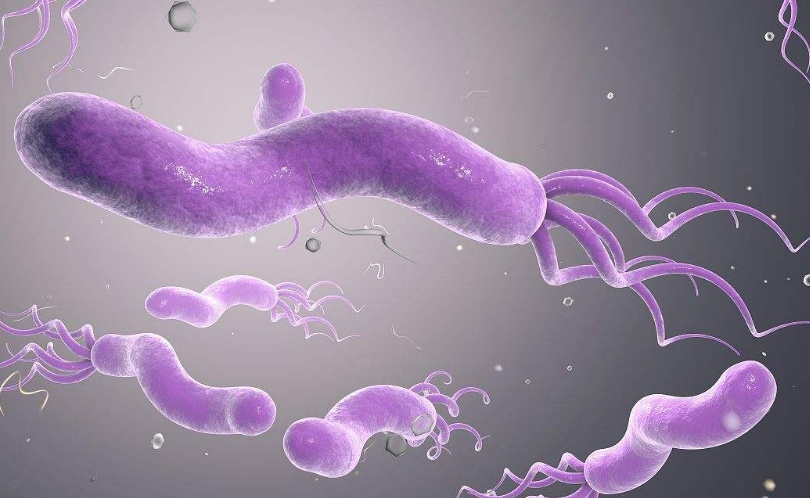 慢性萎缩性胃炎根除幽门螺杆菌后,荆花胃康胶丸能根除幽门螺杆菌吗