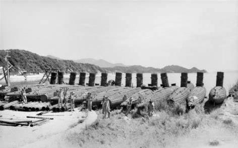 日本东京特快列车,东京特快