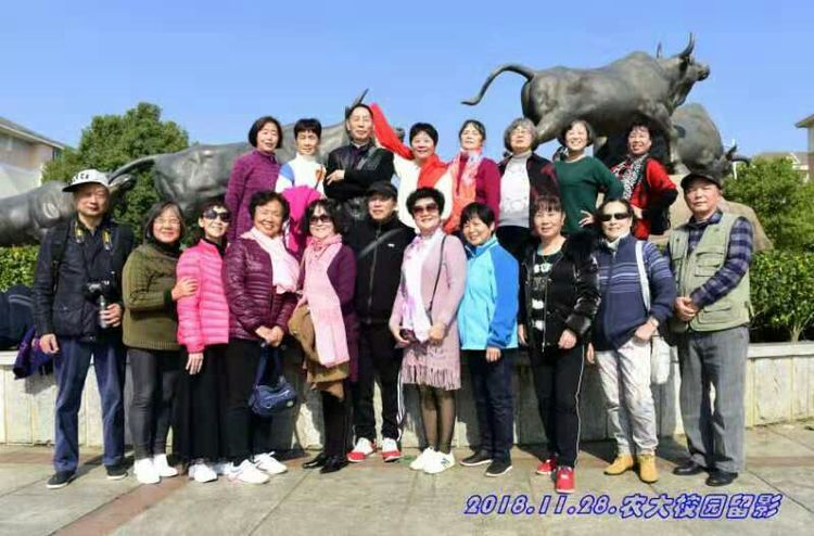 知青情结图片素材,60年代的知青情结