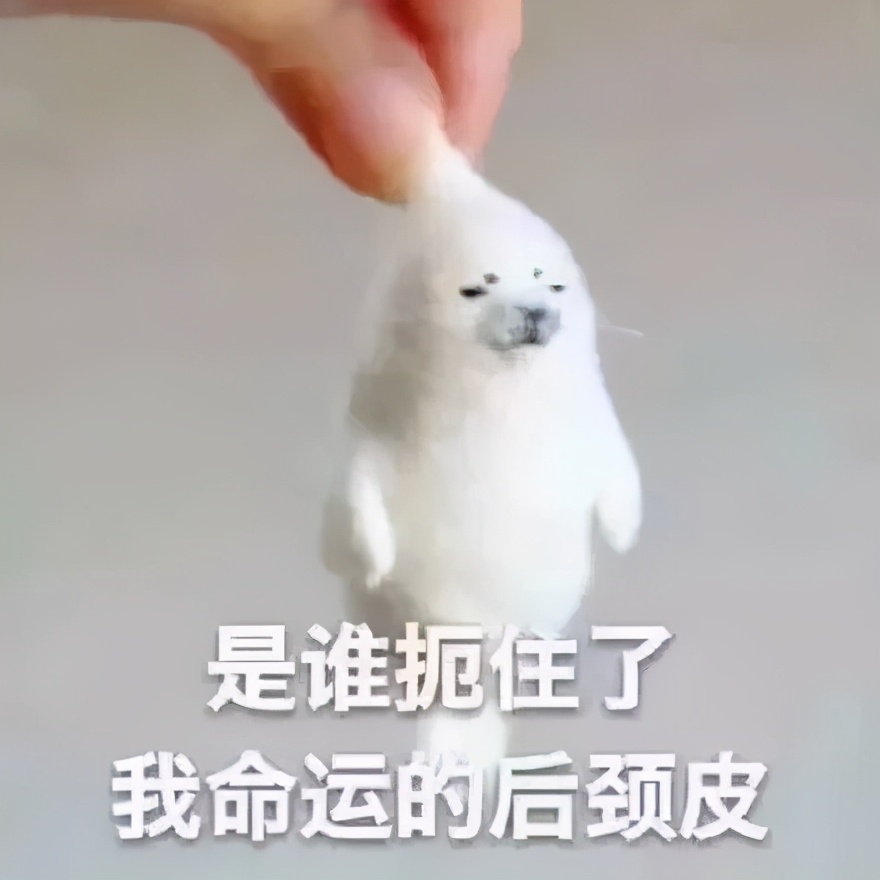 微信转账后悔了能把钱撤回了吗,转账后悔了能撤回吗