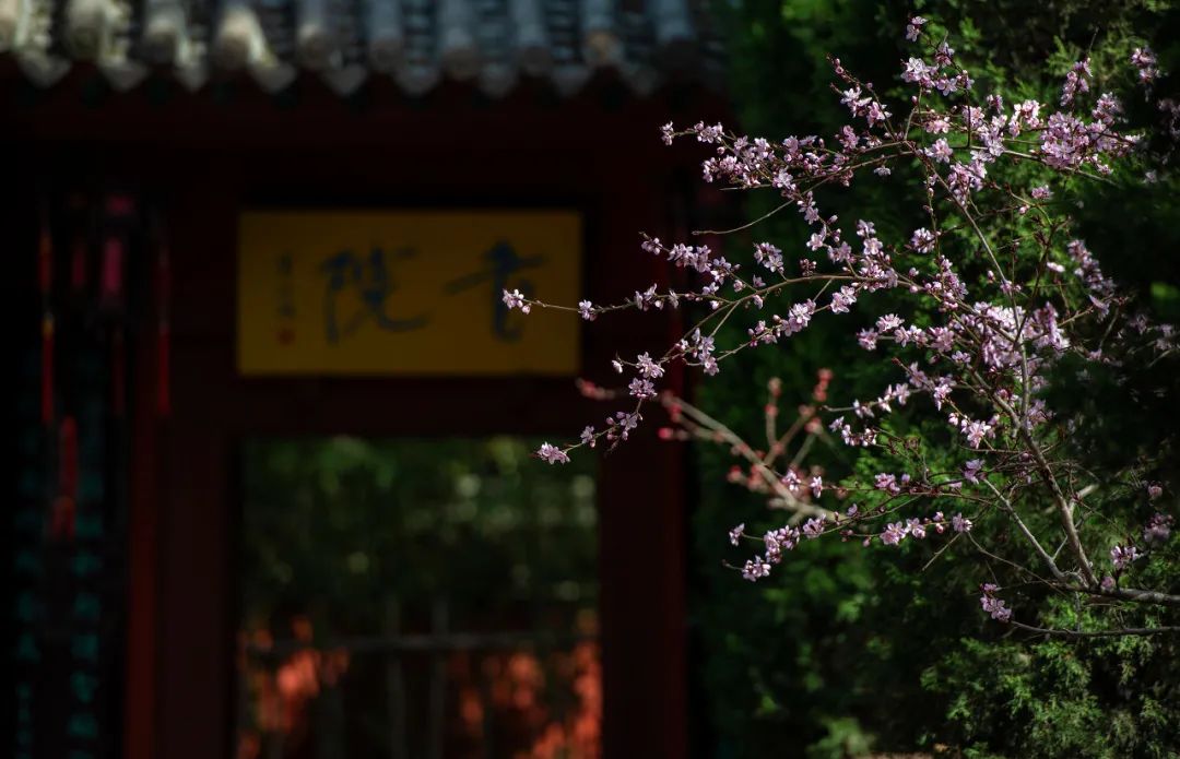 盐湖区中国死海,中国死海停业了吗