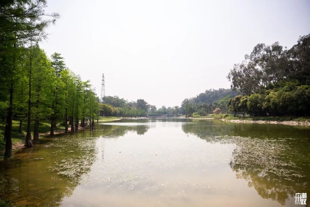 300+万㎡原始森林秘境，天河就有