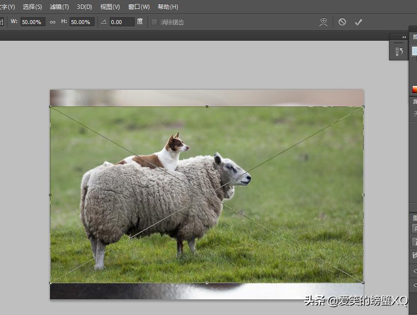 如何简单完整的做一张ps图,ps怎么制作图片详细步骤