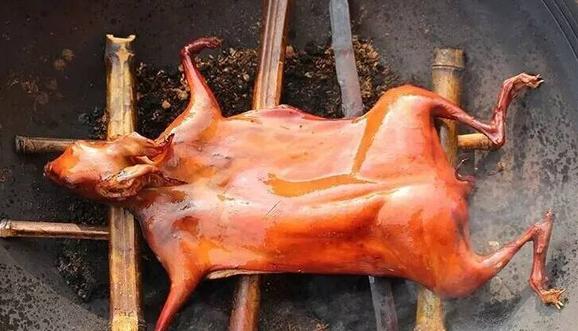 兔子究竟能有多可爱,兔子到底是怎么发展起来的