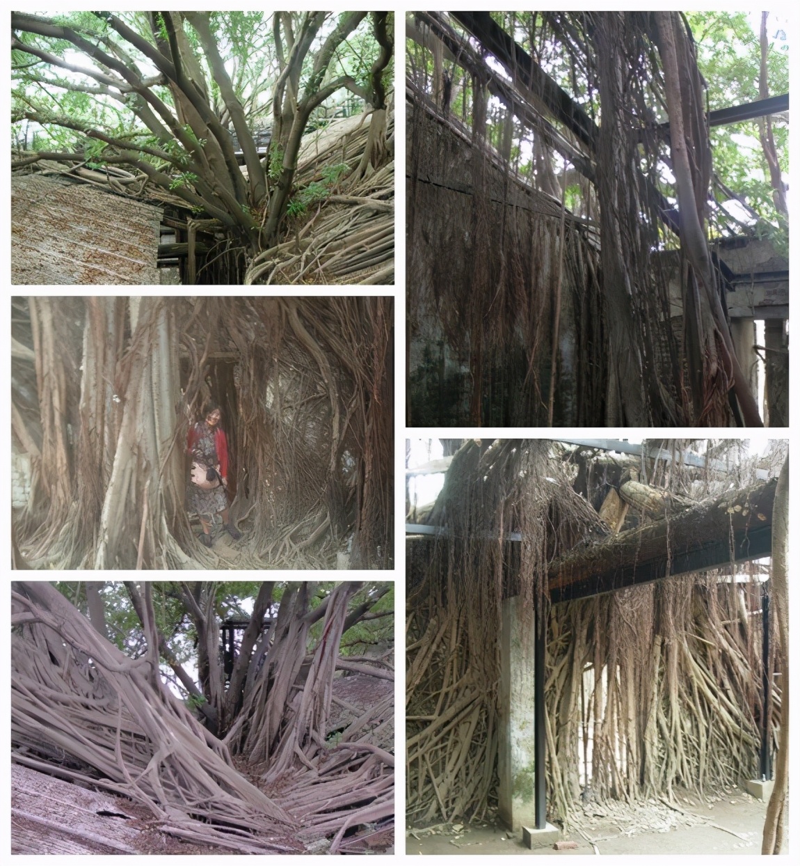 2018年十一月台湾环岛八日游攻略,台湾15天环岛游自由行