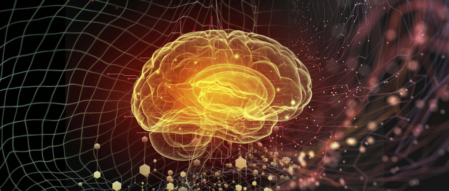 记忆力严重退化该怎么锻炼记忆力,大脑记忆力减退怎么快速恢复