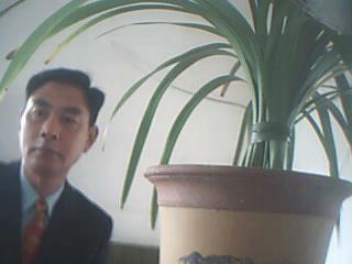 40个出自诗词的成语,诗词里的绝美成语