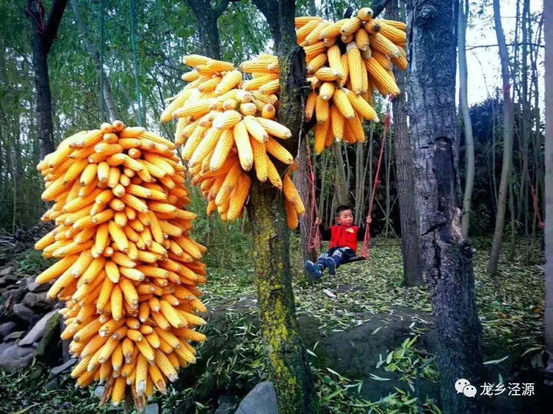 泾源秋天美景图片,泾源最美景色