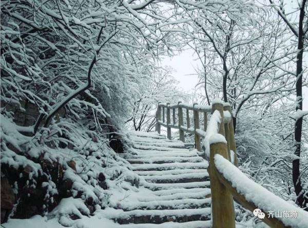 从淄博到日照旅游详细路线是什么,济南淄博潍坊烟台威海青岛日照
