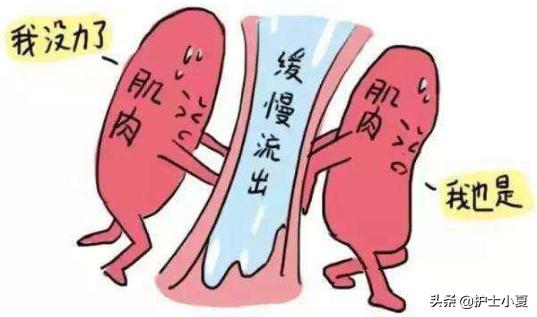 打喷嚏漏尿莫大意，盆底疾病缠住你，切勿病急乱投医，一文解难题